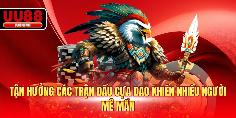 Tận hưởng các trận đấu cựa dao khiến nhiều người mê mẩn